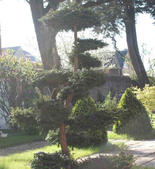 בית מלון כפרי Hôtel Victor Hugo