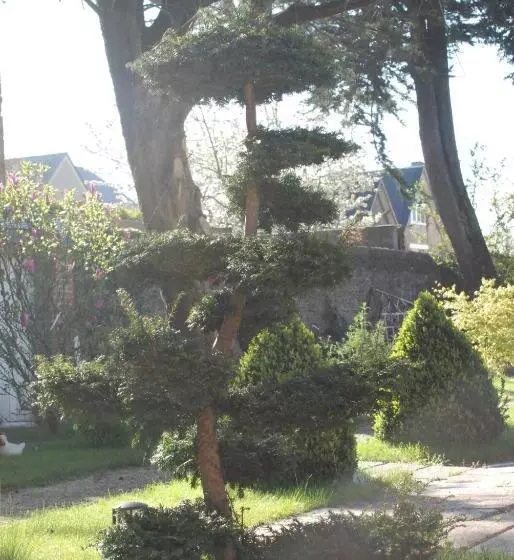 هتل Hôtel Victor Hugo