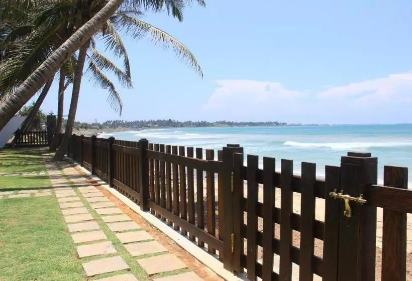 هتل Love Birds Beach