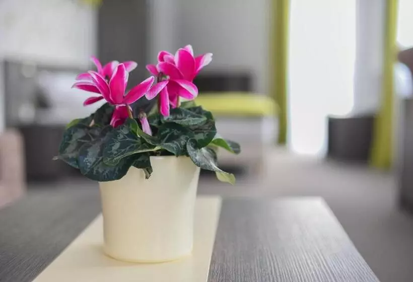 ホテル Oázis Wellness Panzio