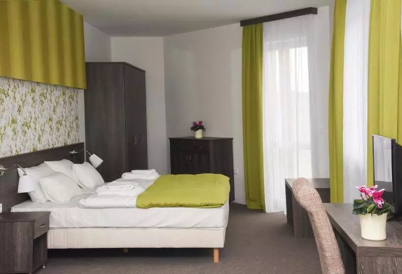 ホテル Oázis Wellness Panzio