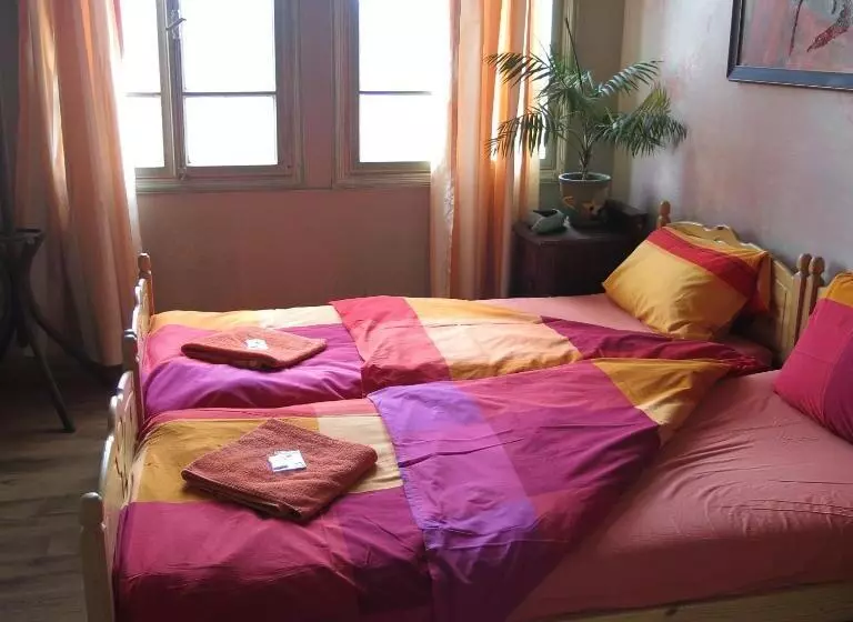 Rooster Hostel