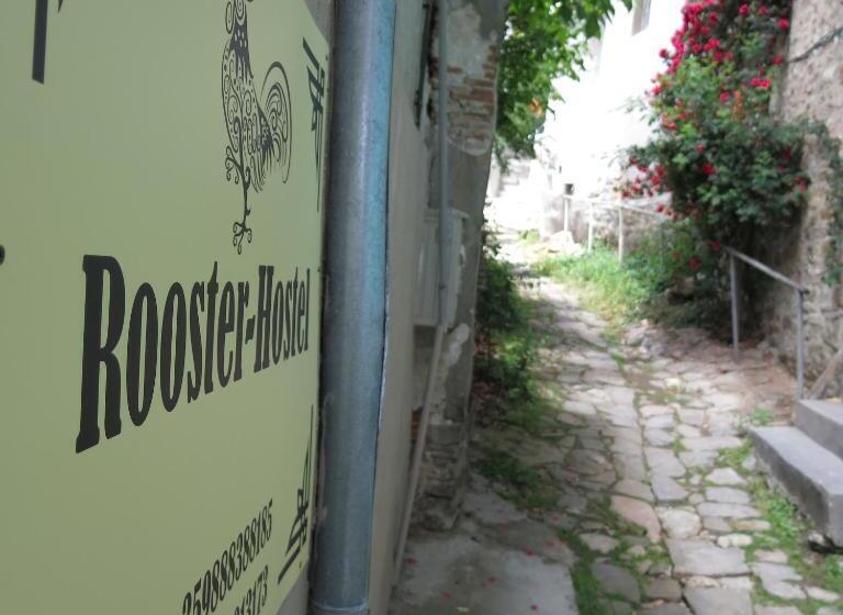 Rooster Hostel