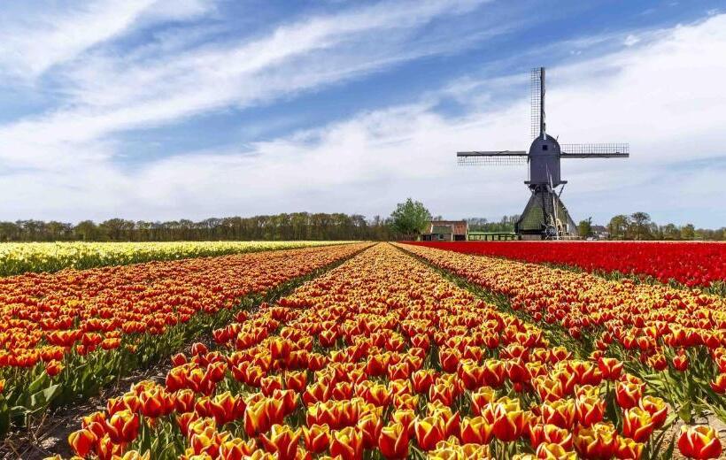 Amsterdam Roof Terrace B&b