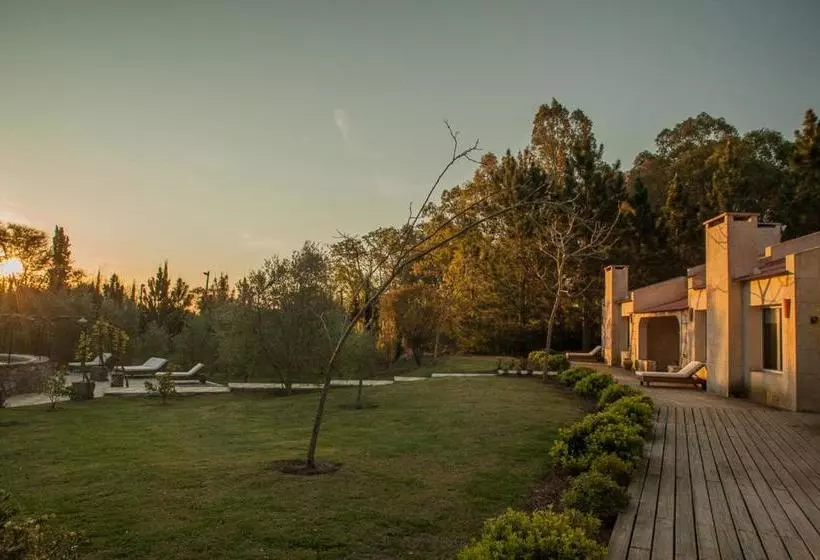 ベッドアンドブレックファースト Suites Camacho