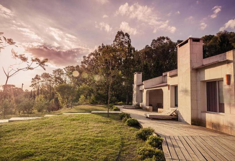 צימר Suites Camacho