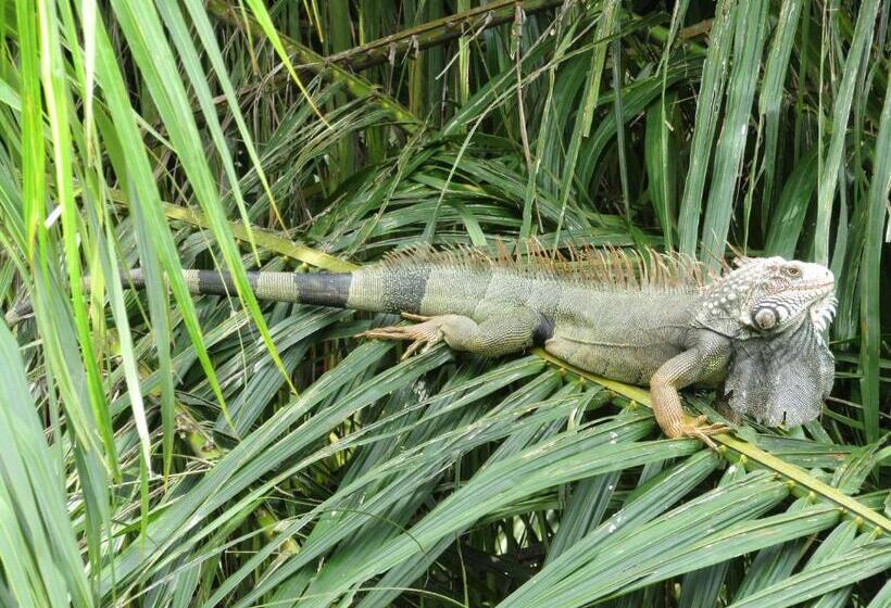 Aamiaismajoitus (B&B) Vista Villas