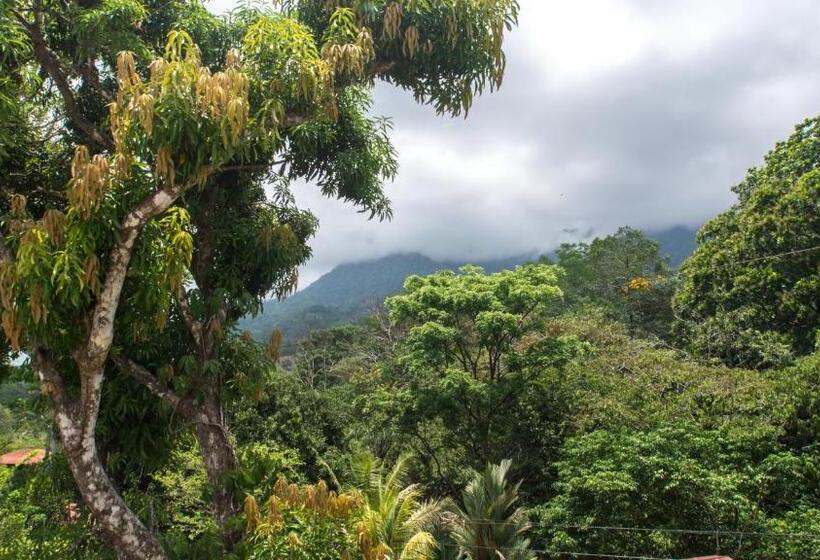 Aamiaismajoitus (B&B) Vista Villas