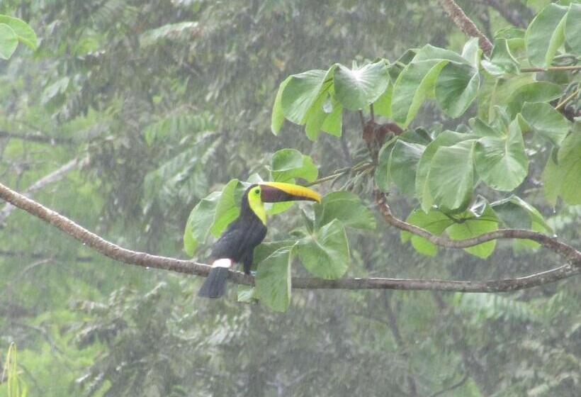 Aamiaismajoitus (B&B) Vista Villas