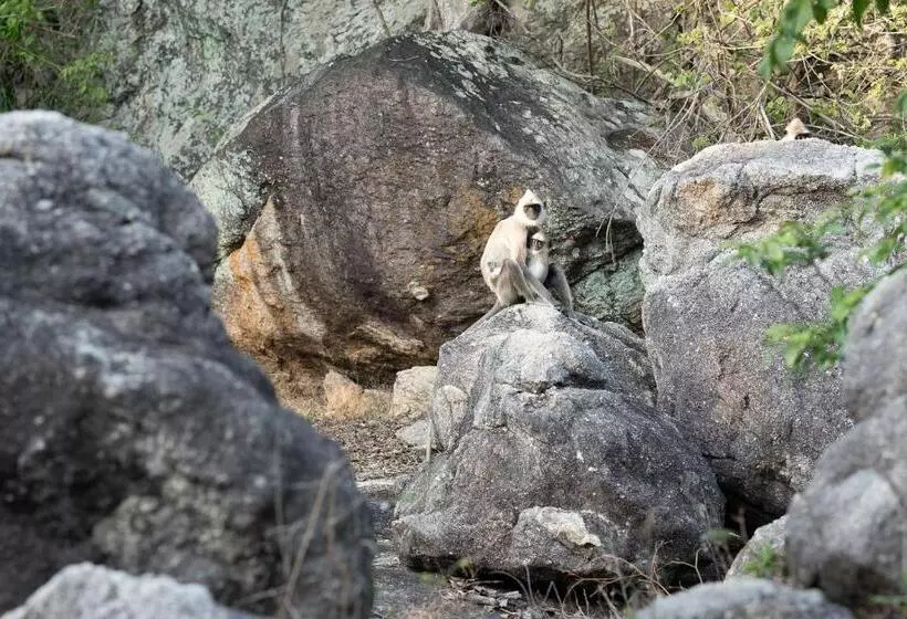 ホテル Babar Point