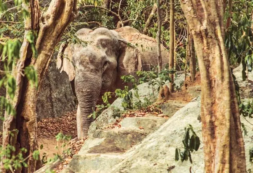 ホテル Babar Point
