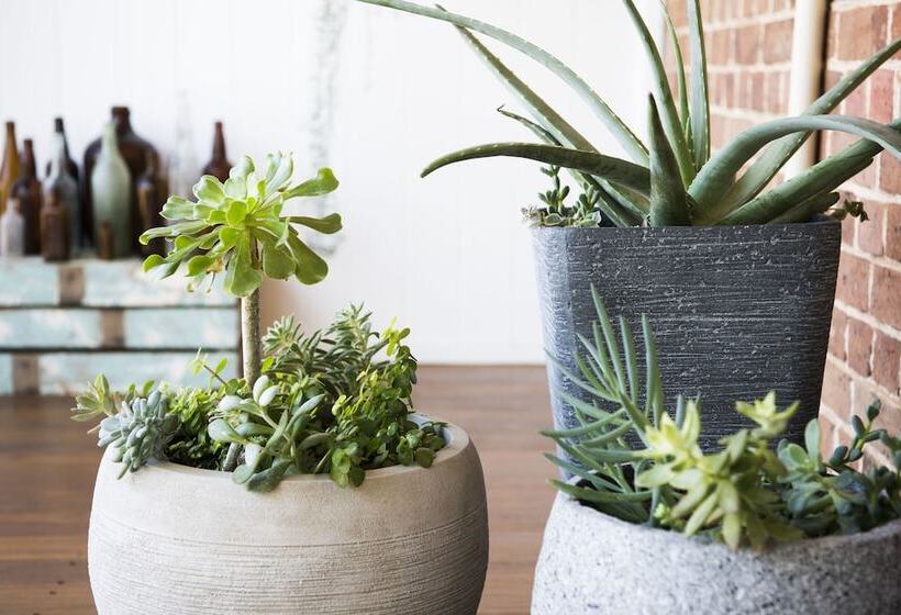 The Parkview Hotel Mudgee