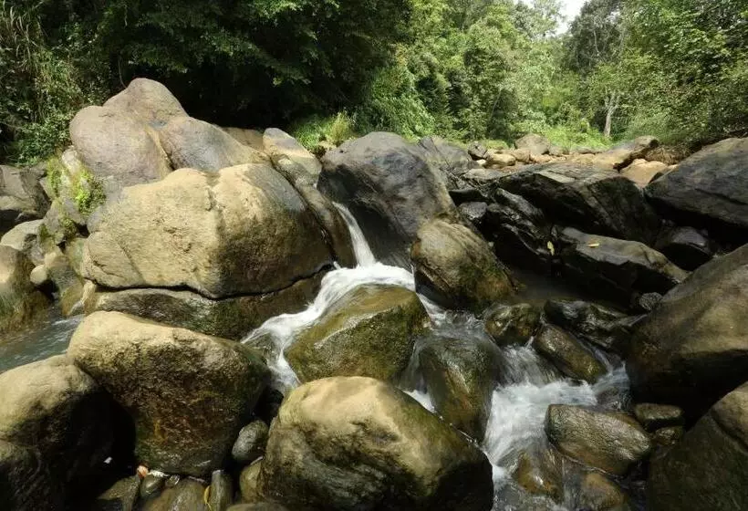 Resort Ayursakthi Riverdale