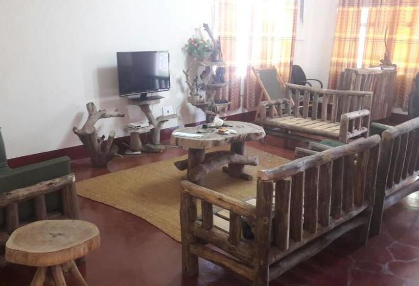 تختخواب و صبحانه Adventures Nest