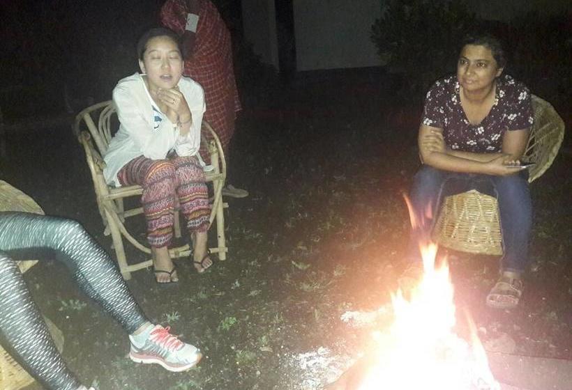 تختخواب و صبحانه Adventures Nest