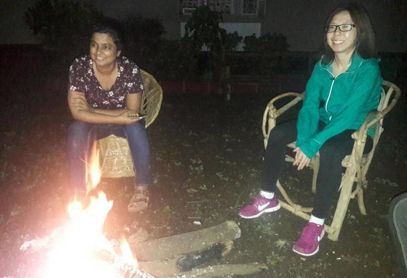 تختخواب و صبحانه Adventures Nest