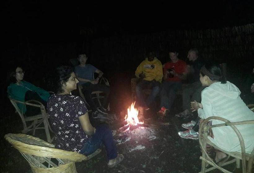 تختخواب و صبحانه Adventures Nest