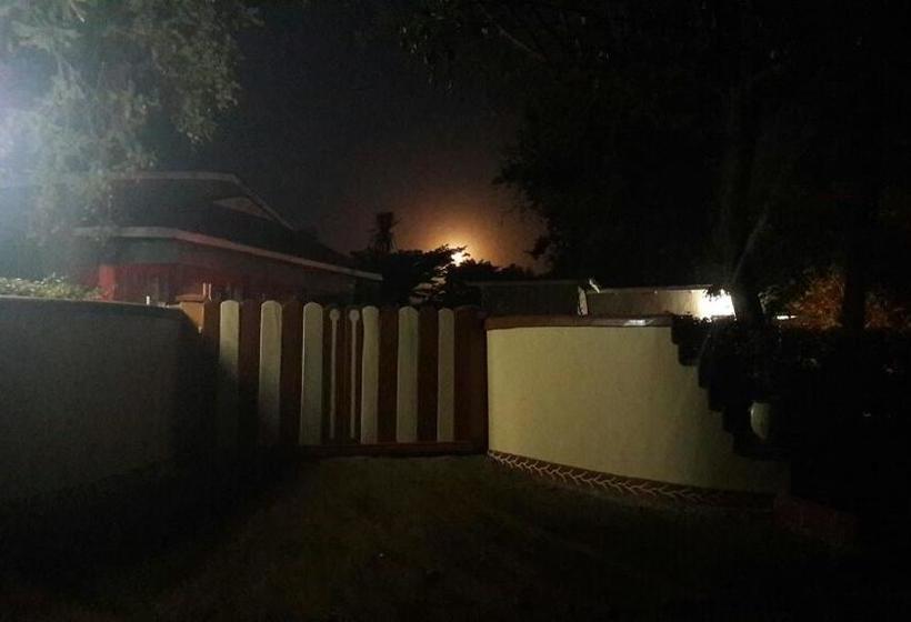 تختخواب و صبحانه Adventures Nest