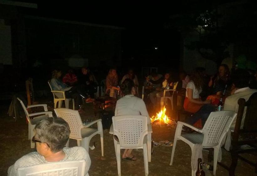 تختخواب و صبحانه Adventures Nest