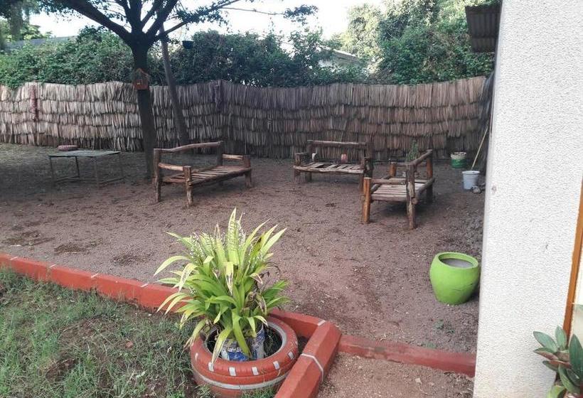 تختخواب و صبحانه Adventures Nest