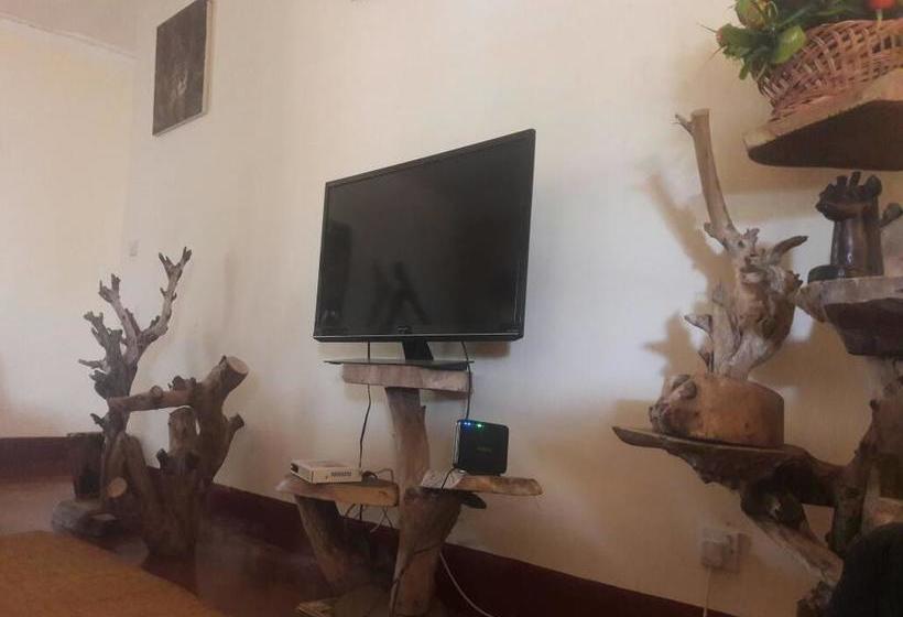 تختخواب و صبحانه Adventures Nest