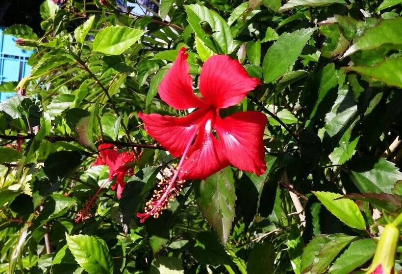 هتل Bel Fle Missions