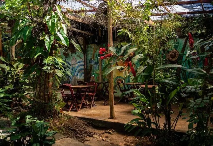 Bananas Hostel