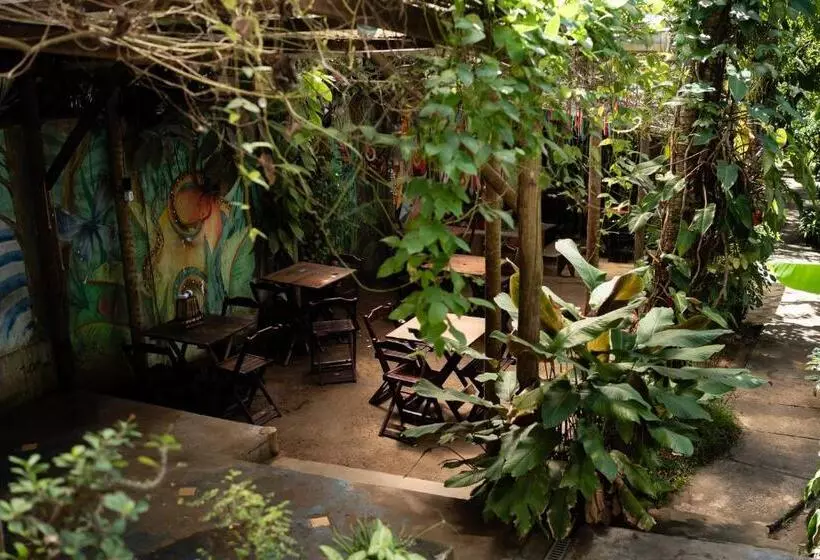 Bananas Hostel
