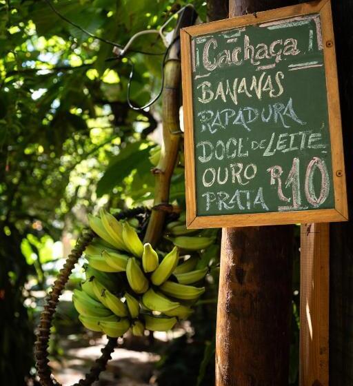 Bananas Hostel