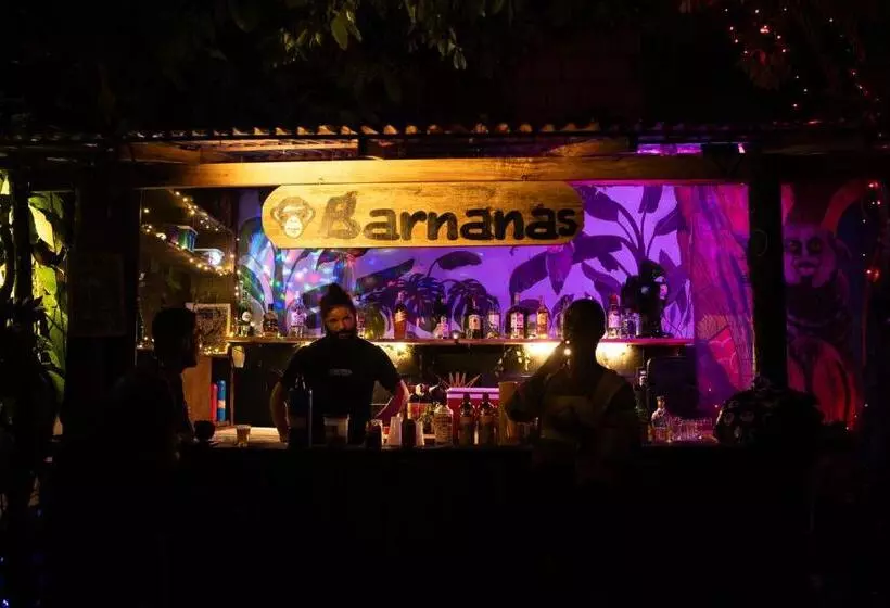 Bananas Hostel