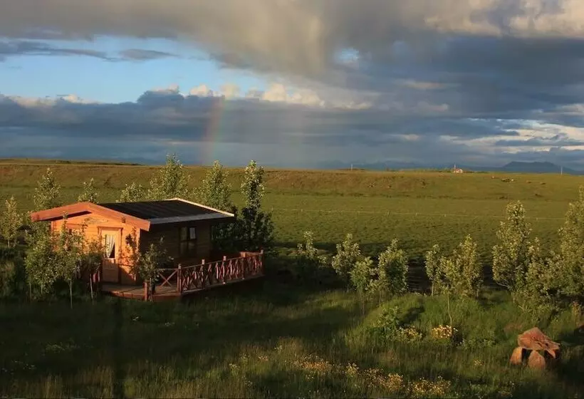 تختخواب و صبحانه Alfasteinn Country Home Guesthouse