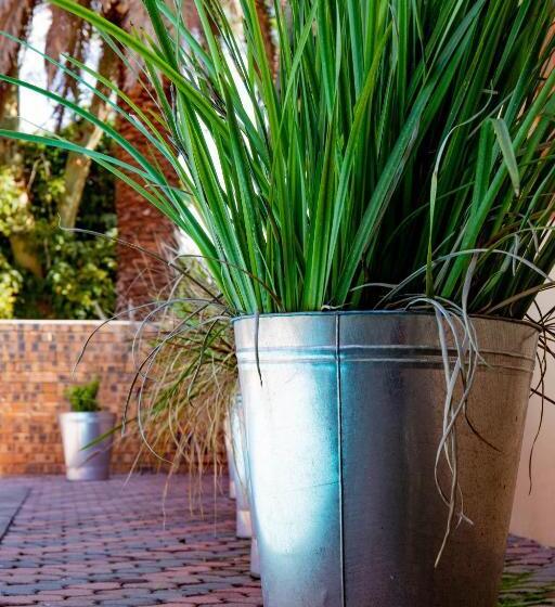 ベッドアンドブレックファースト Tambati Overnight And Conference Center