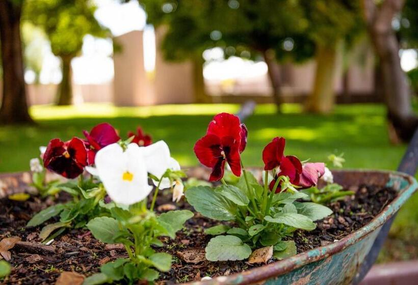 ベッドアンドブレックファースト Tambati Overnight And Conference Center