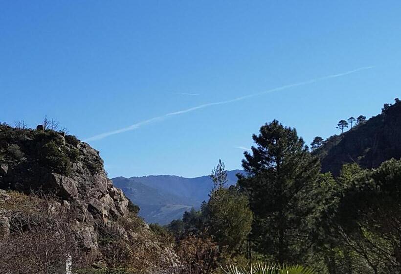 ホテル Hôtel De La Restonica