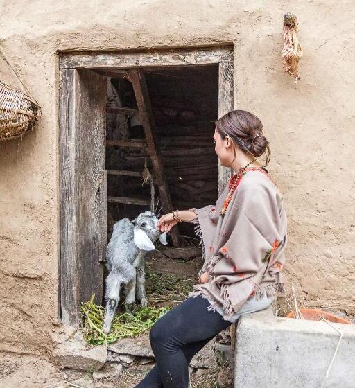 Rakkh Resort, A Member Of Radisson Individuals Retreats