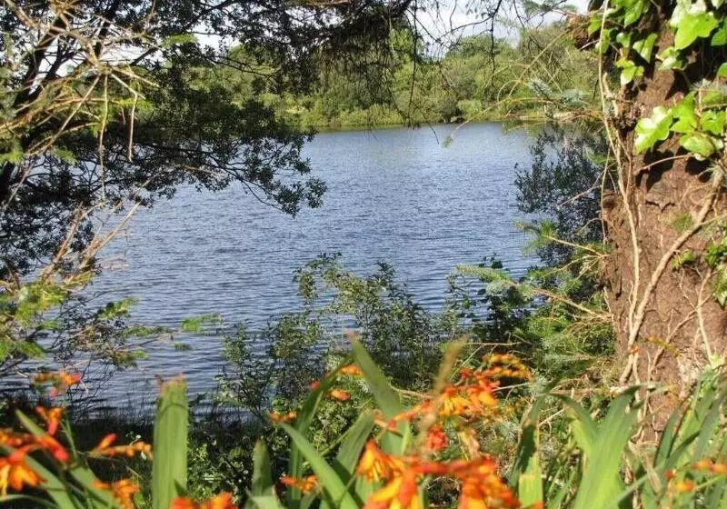 Lake House B&b