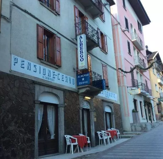 Hotel Albergo Cervo