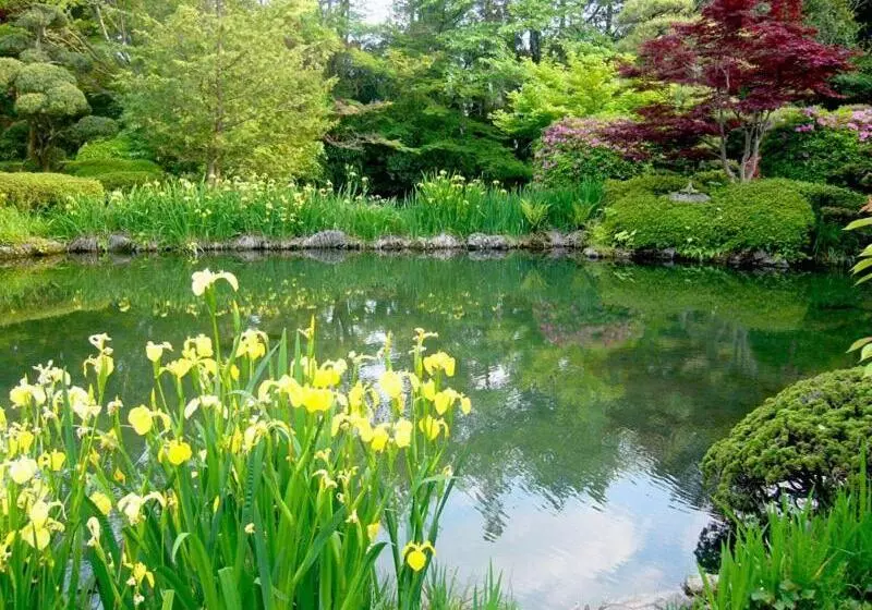 Hotelli Garden Palace