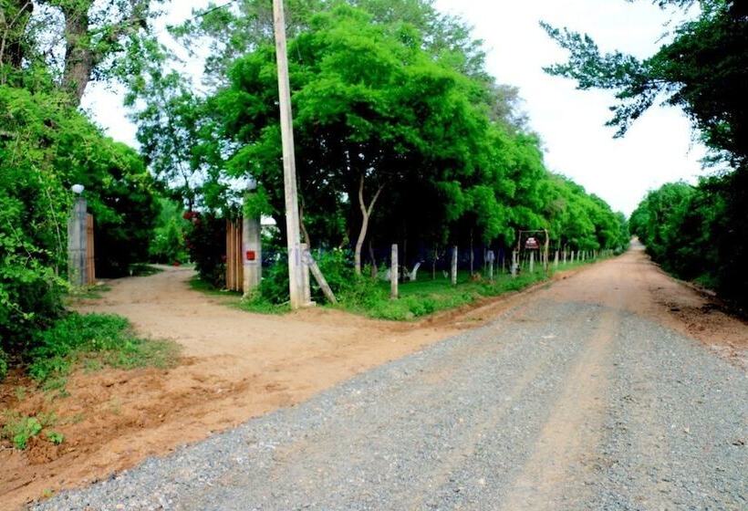 ホテル Lavish Eco Jungle