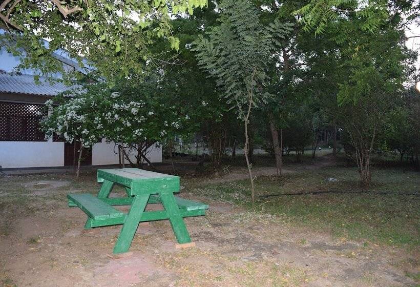 ホテル Lavish Eco Jungle