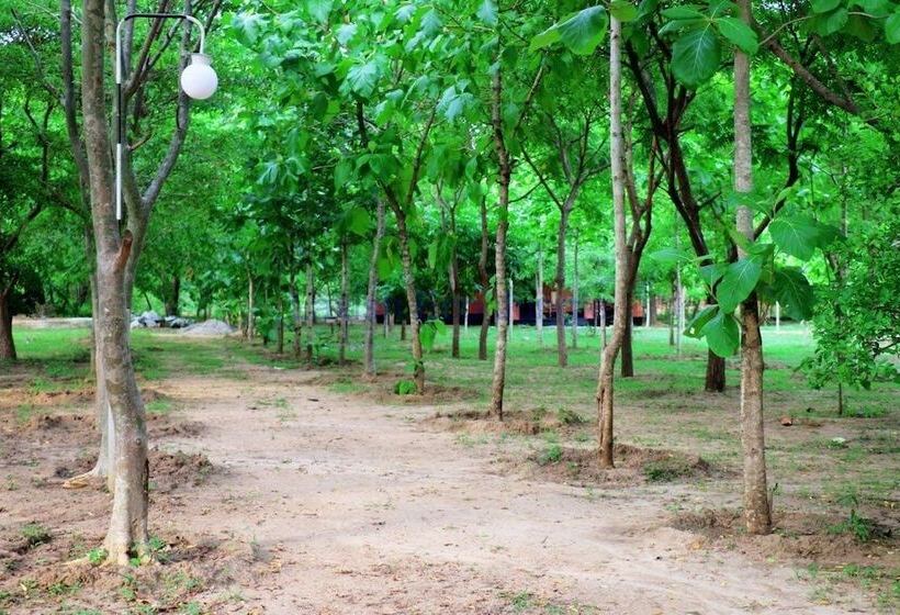 ホテル Lavish Eco Jungle