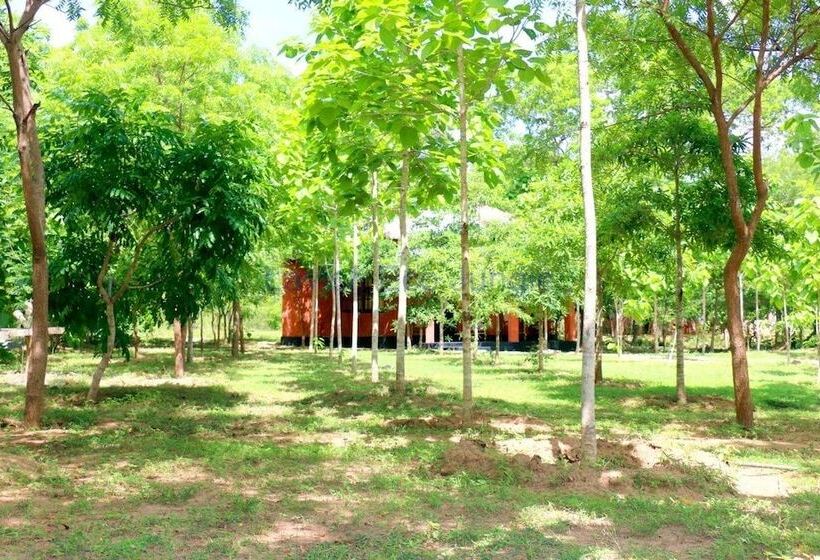 ホテル Lavish Eco Jungle