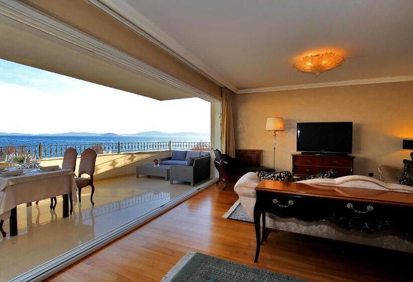 בית מלון כפרי Niko