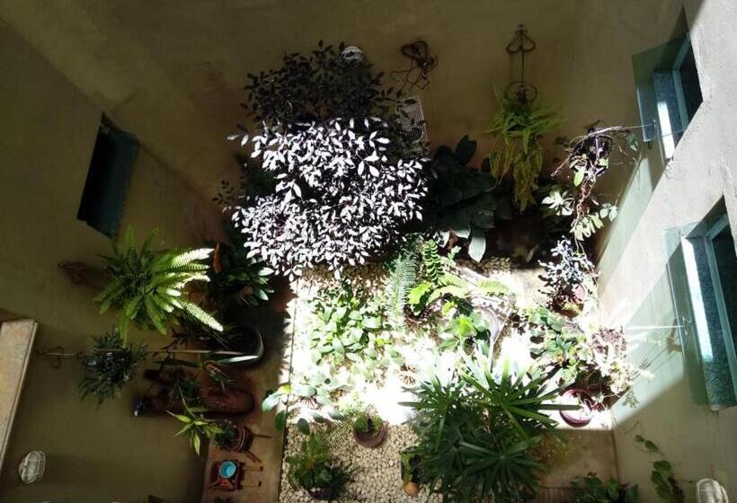 Отель Zm Premium