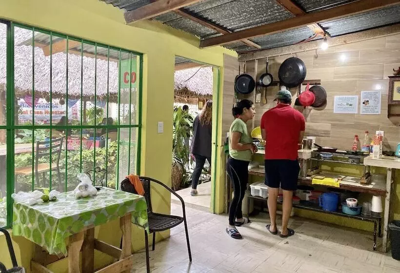 Retkeilymaja Hostal Casa Huasteca