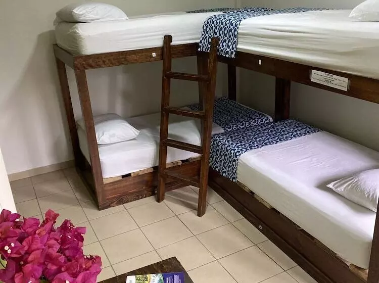 Retkeilymaja Hostal Casa Huasteca