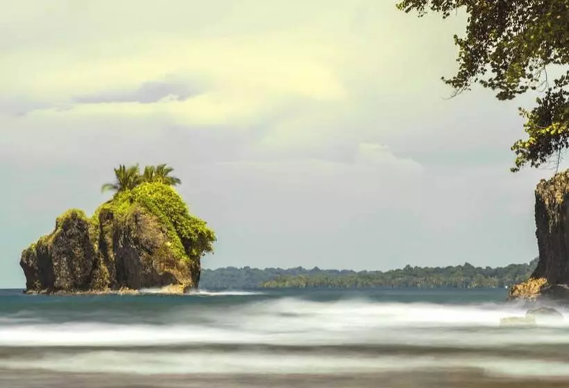 Retkeilymaja Selina Puerto Viejo