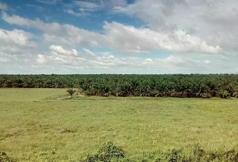 تختخواب و صبحانه Suratthani Airport Mini Hostel