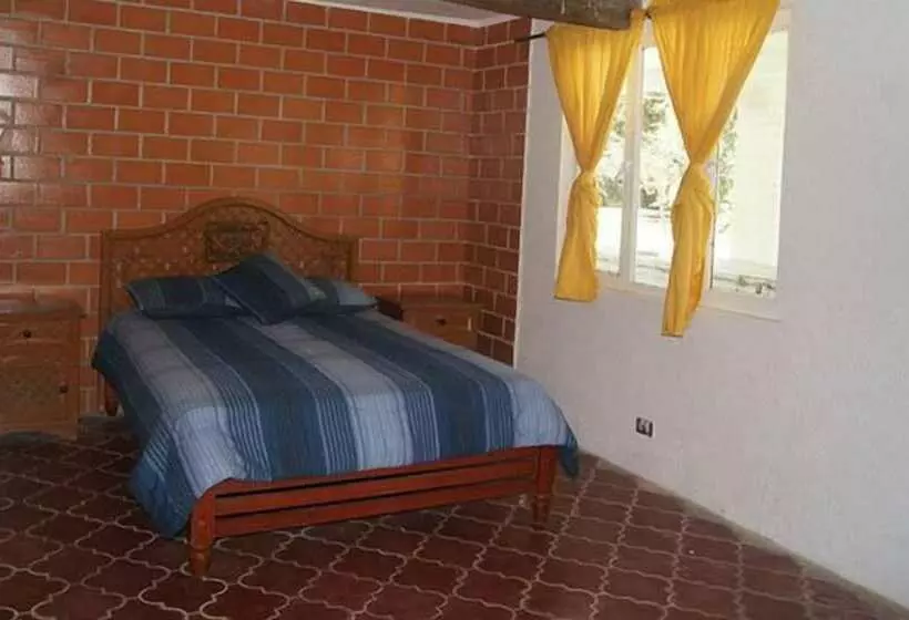 ホテル Hostal La Macía