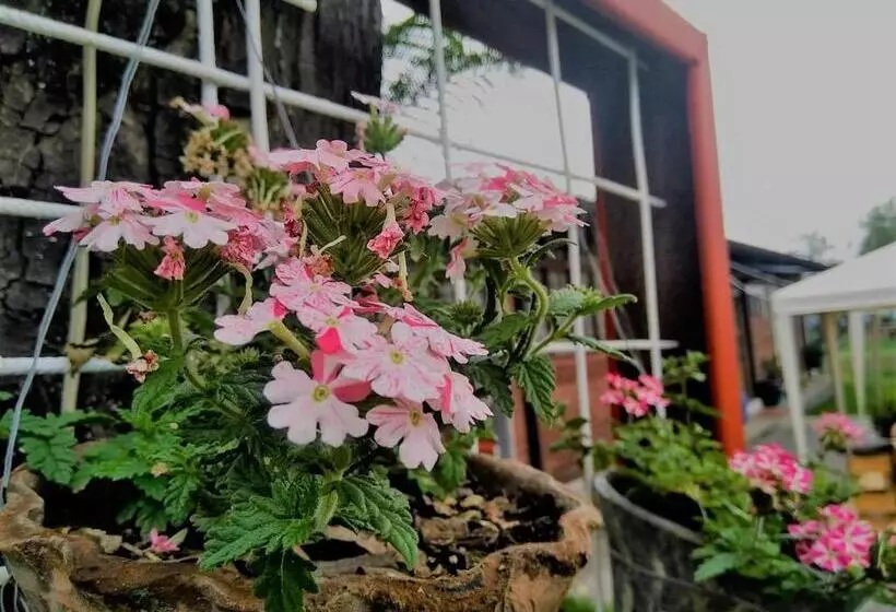 Chester´s B&b
